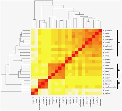 Comparative Genomics of Staphylococcus Reveals Determinants of Speciation and Diversification of Antimicrobial Defense